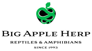 Big Apple Herp