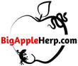 Big Apple Herp - Reptiles For Sale