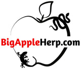 Big Apple Herp - Reptiles For Sale