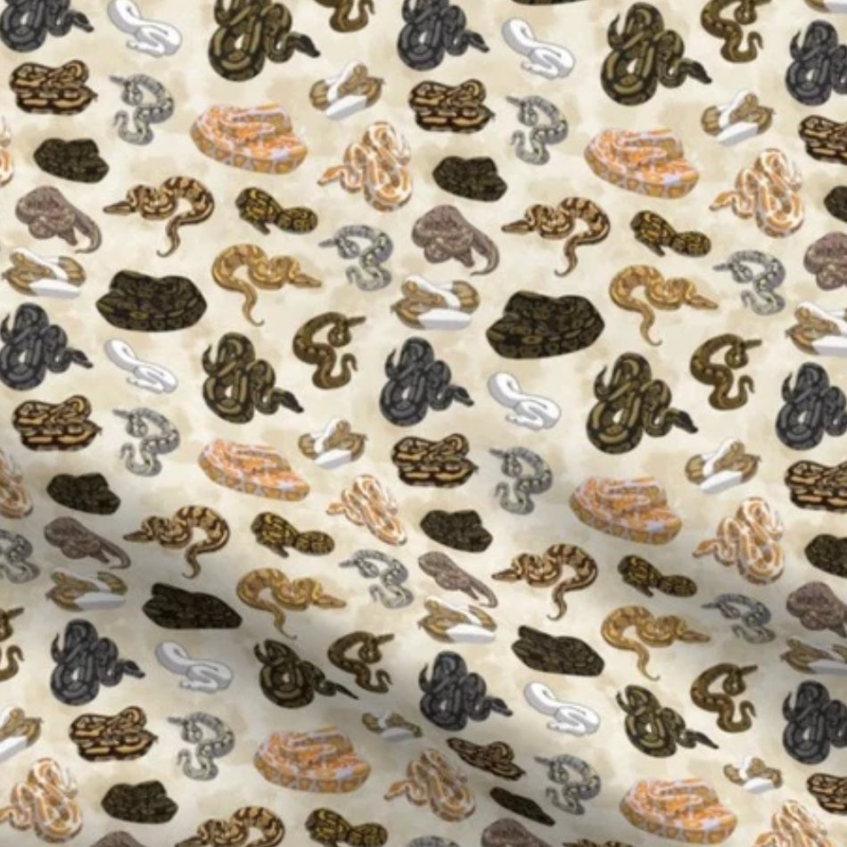 Ball Python Morphs Poster Imported Ball Pythons – Discover The Next