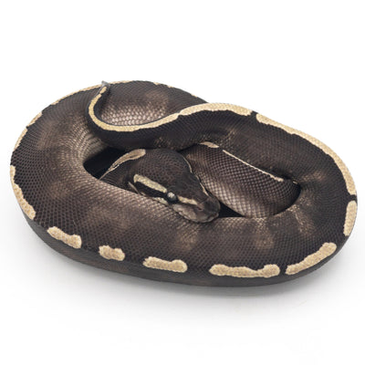 GHI Mojave Ball Python (Actual Photo)