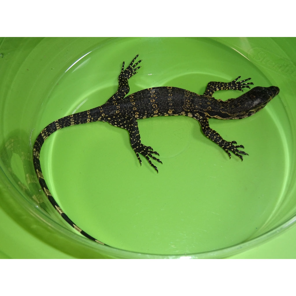 Baby Water Monitor